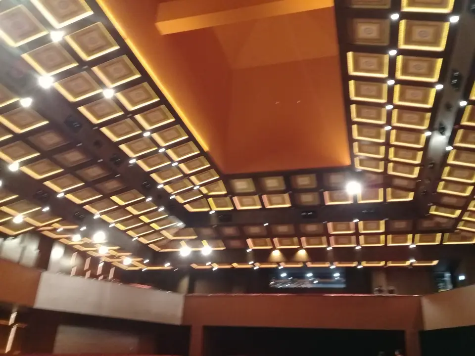 Large Auditorium Stage Curtains — stage curtain project photograph 8